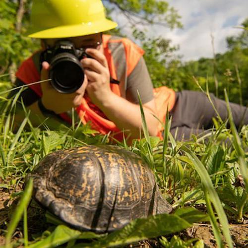bet8九州登录入口的一名学生在野外给一只海龟拍照